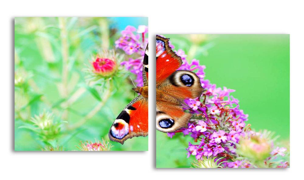 

Модульная картина LaPrint Бабочка 100х54 см