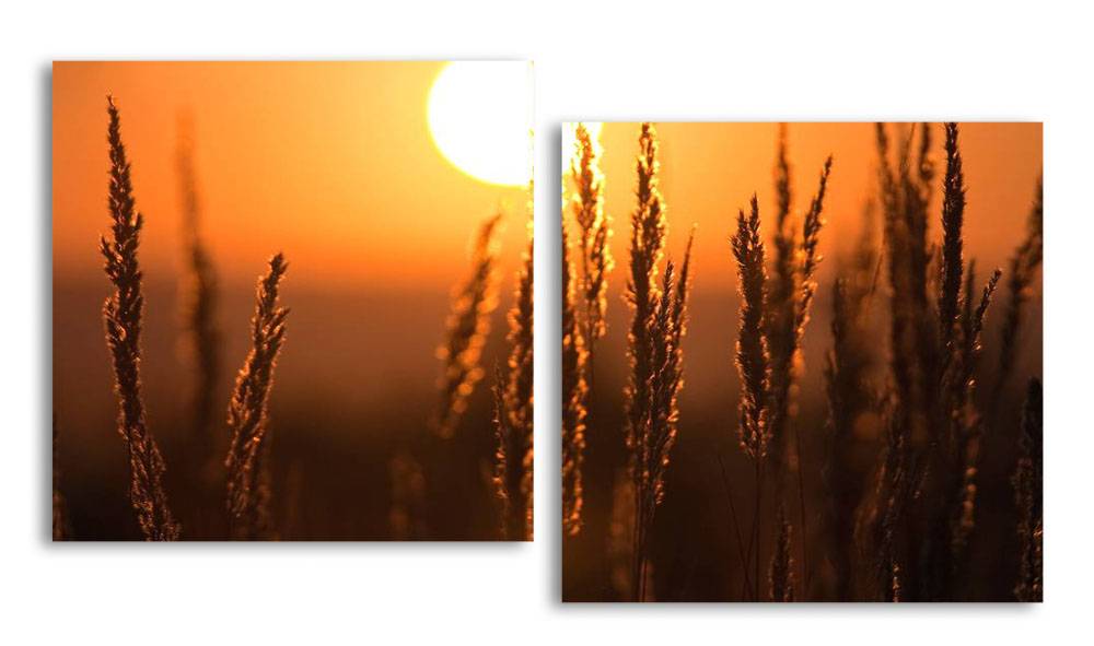 

Модульная картина LaPrint Закат в поле 100х54 см