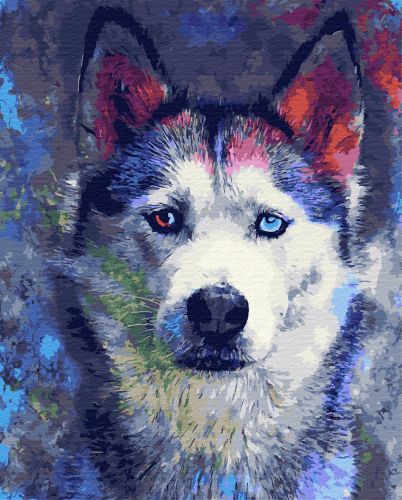 

Картина по номерам Rainbow Art Одинокий взгляд GX30357