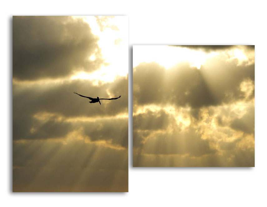 

Модульная картина LaPrint В полете 100х73 см