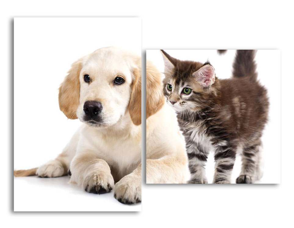 

Модульная картина LaPrint Друзья 100х73 см