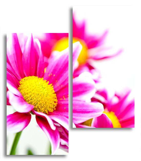 

Модульная картина LaPrint Цветы 100х116 см