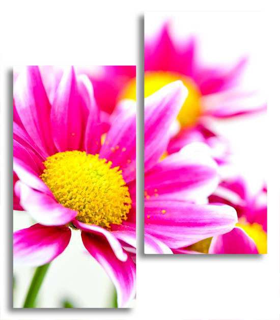 

Модульная картина LaPrint Цветы 100х116 см