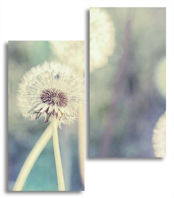 

Модульная картина LaPrint Одуванчики 100х116 см