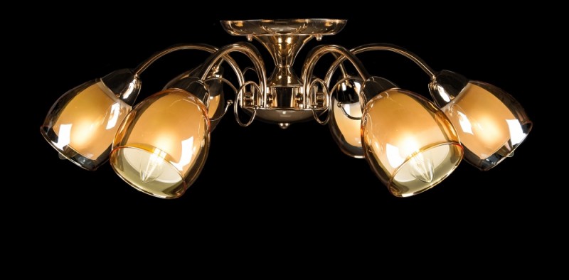 

Люстра с плафонами Ray L9019D/6 (FGD+BRN) (AN001864)