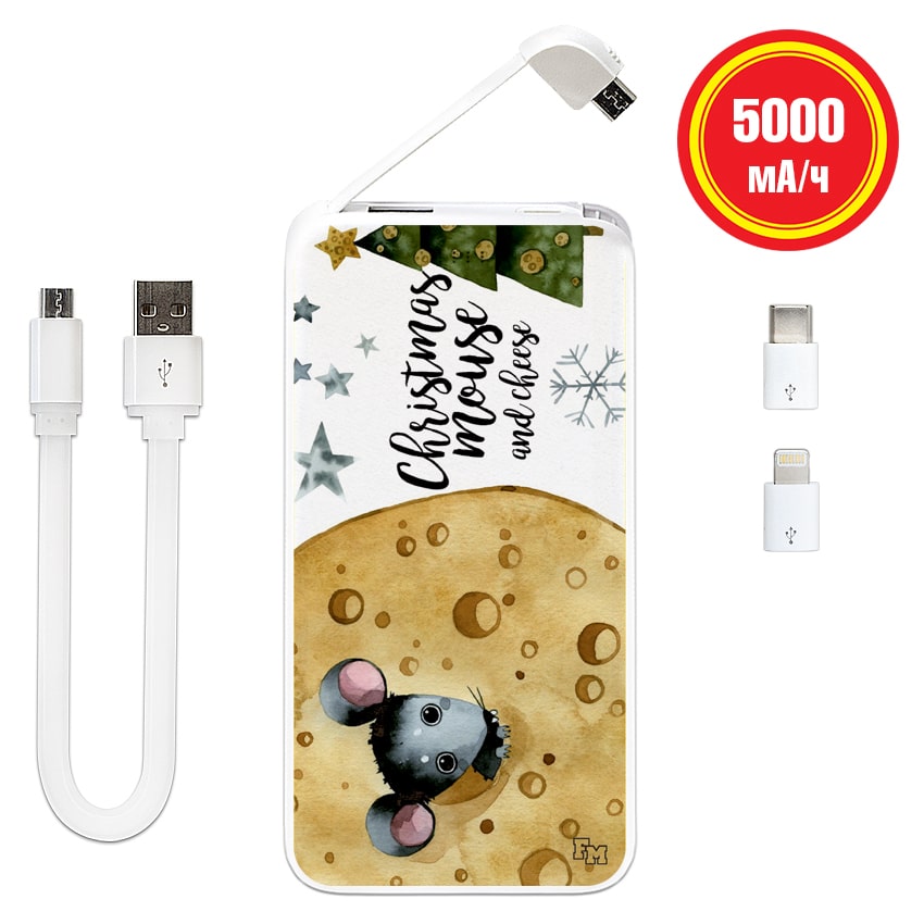 

FM Power Bank с принтом Новогодний сыр, 5000 мАч (E505-45)
