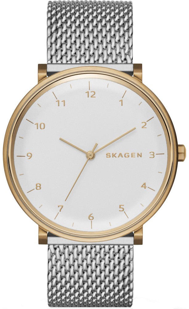 

Часы Skagen SKW6170
