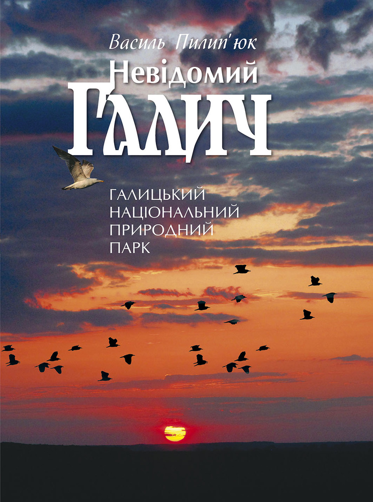 

Невідомий Галич