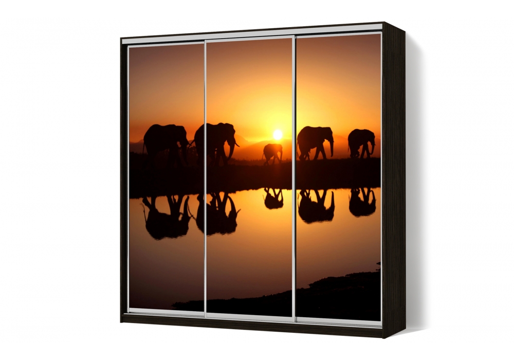 

Шкаф-купе LuxeStudio 3 двери ФМП/ФМП/ФМП рисунок An102 CLS - II 220 x 210 x 45 см