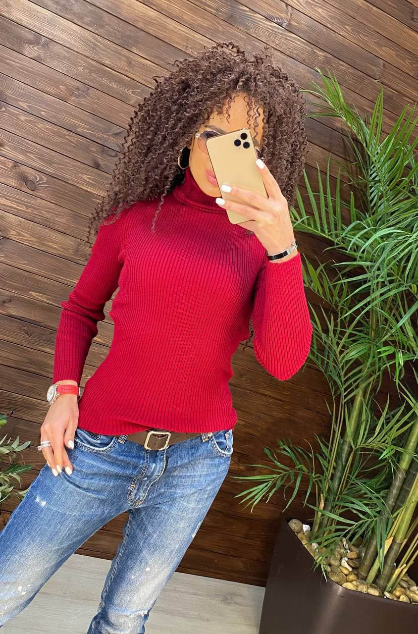 

Fashions • Гольф женскии Daniela Fashions 42-46 малина (№505)