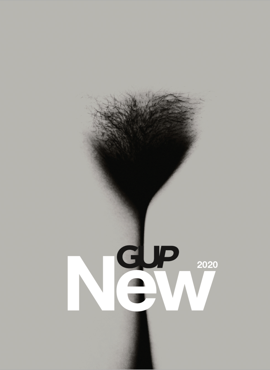 

Книга GUP New 2020 (Обложка-2) Gup