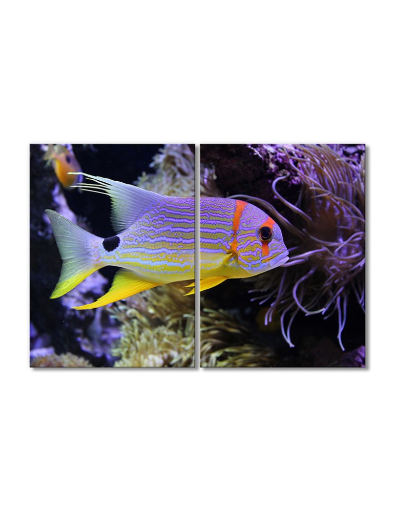 

Модульная картина Artel «Аквариумная рыбка» 2 модуля 60x90 см