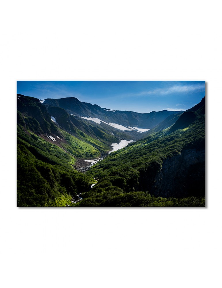 

Модульная картина Artel «Аляска тропа настойчивости» 1 модуль 60x90 см