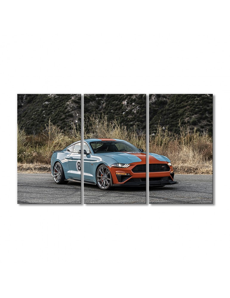 

Модульная картина Artel «Автомобиль Форд Мустанг GT Roush» 3 модуля 120x180 см