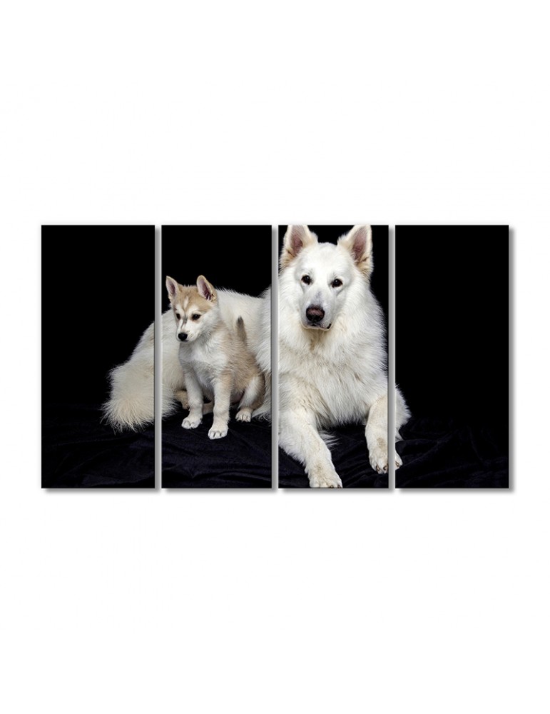 

Модульная картина Artel «Белые хаски» 4 модуля 60x90 см