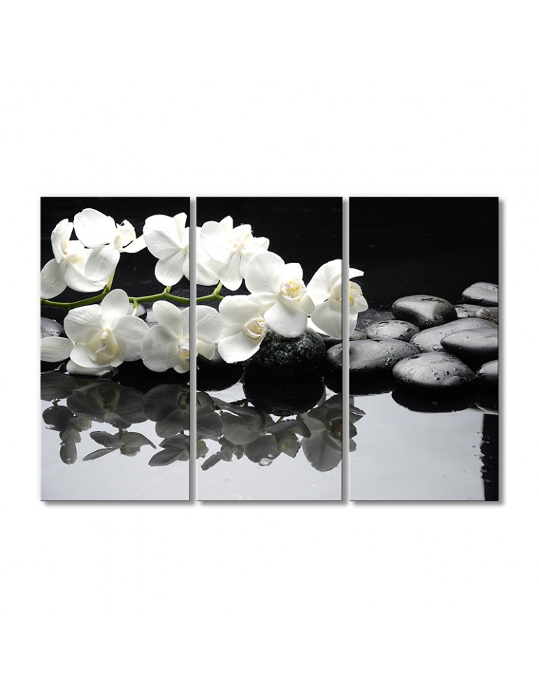 

Модульная картина Artel «Белая орхидея на черных камнях» 3 модуля 60x90 см
