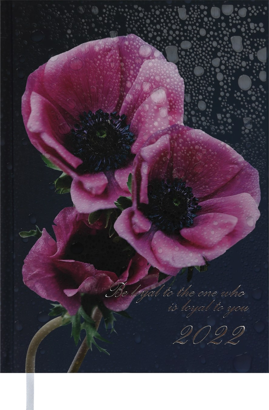

Ежедневник датированный Buromax Posh A5 на 336 страниц Фиолетовый (BM.2118-07)
