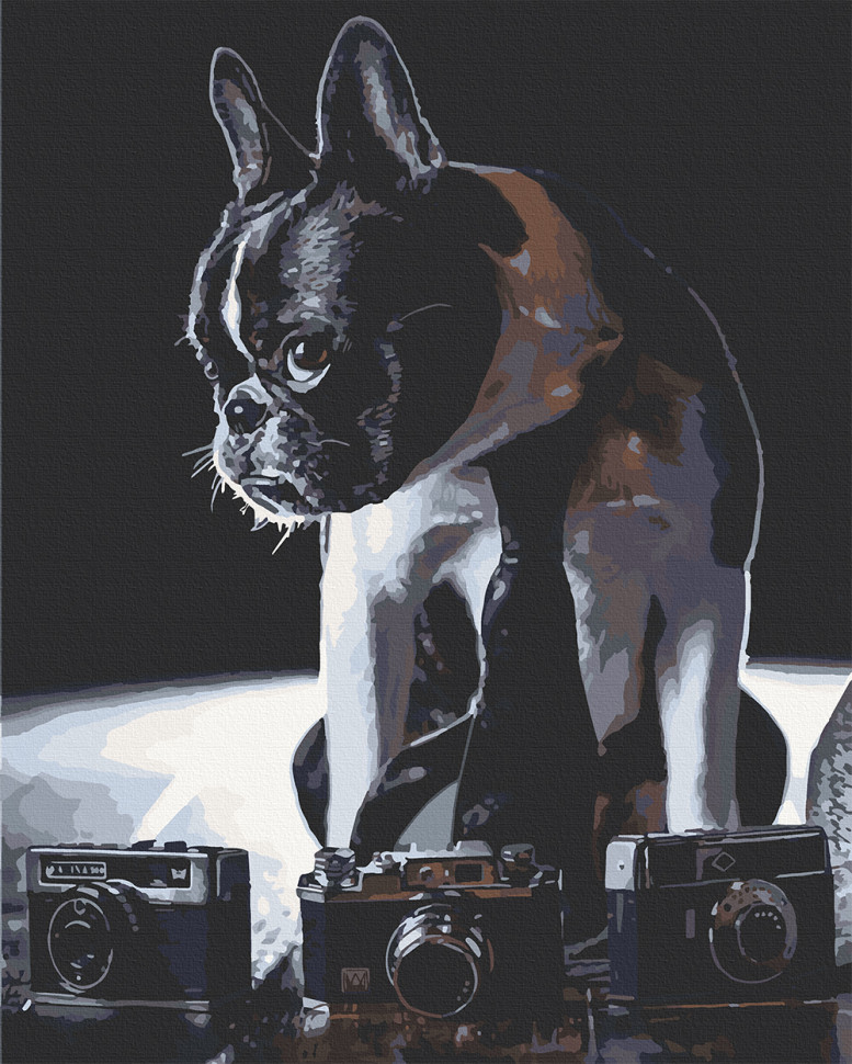 

Картина для рисования по номерам Art Craft "Застенчивый фотограф" 40х50 см 11642-AC-RY