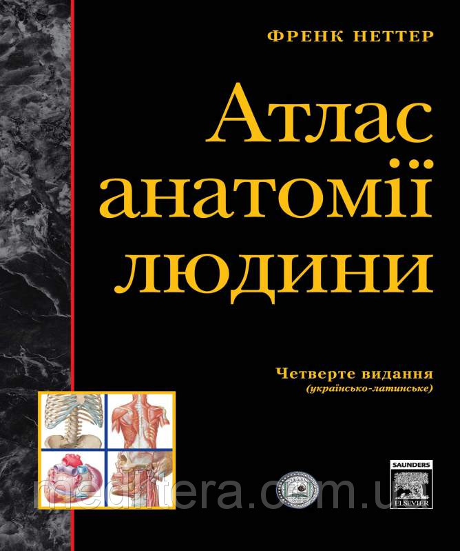 

Неттер Атлас анатомії людини (4-е видання) (966-8574-09-5, 978-966-8574-09-5, 9789668574092) Изд. Наутіліус