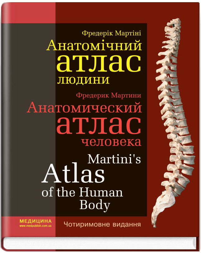 

Фредерик Мартини Анатомический атлас человека. Анатомічний атлас людини пер з 8-го видання, чотиримовне (978-617-505-723-0) Изд. Медицина