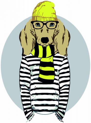 

Картина по номерам "Stylish Dog" ★☆☆