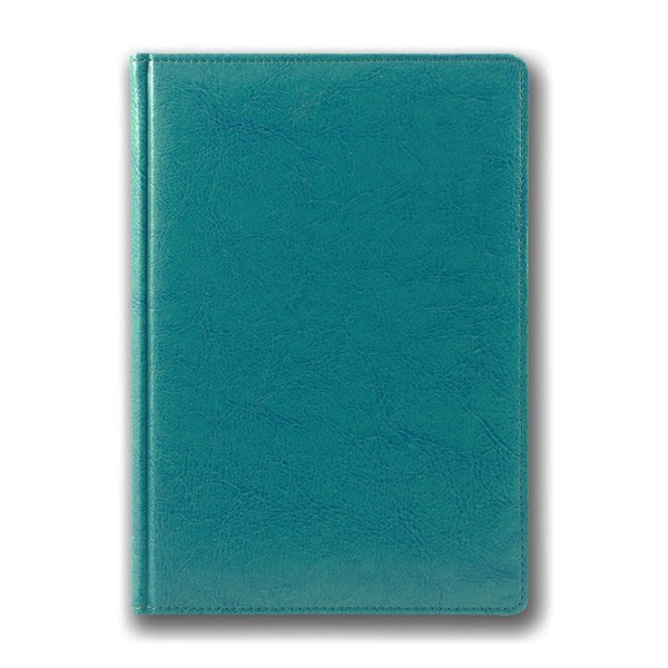 

Ежедневник недатированный Brisk SARIF A5 (3В-43) на 352 страницы бирюзовый