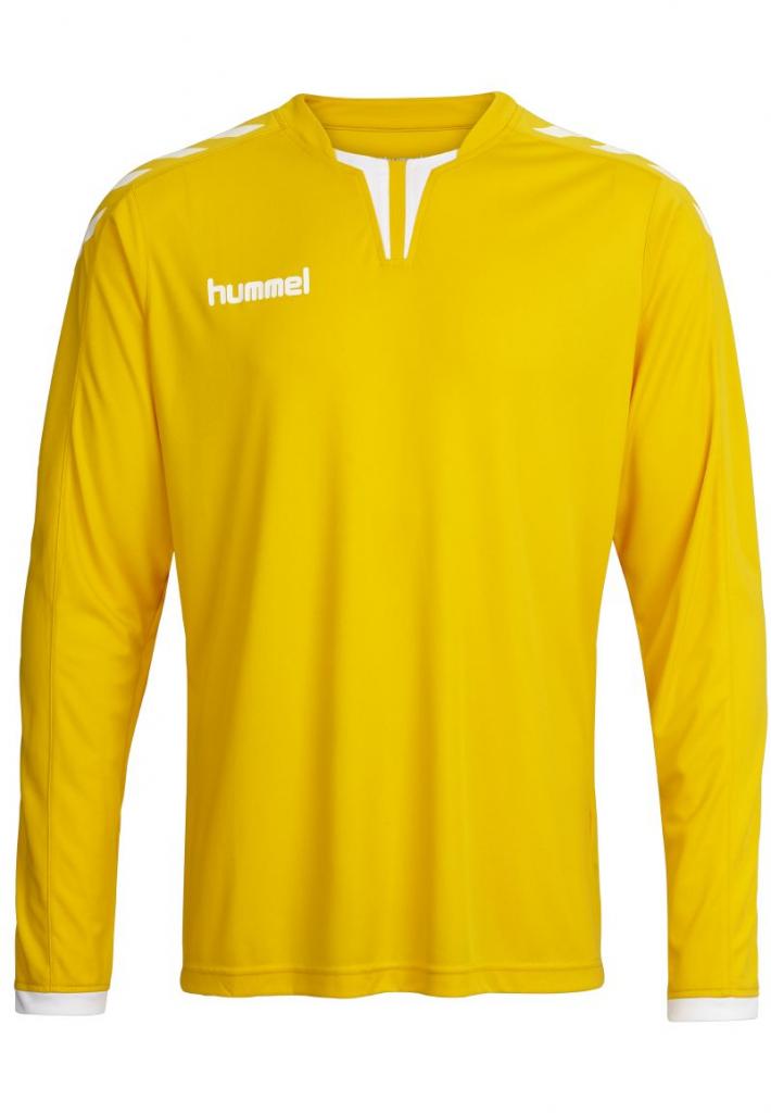 

[:ru]Реглан Hummel CORE LS POLY JERSEY[:uk]Реглан CORE LS POLY JERSEY[:] XL ЖЕЛТЫЙ (004-615-5001-XL)