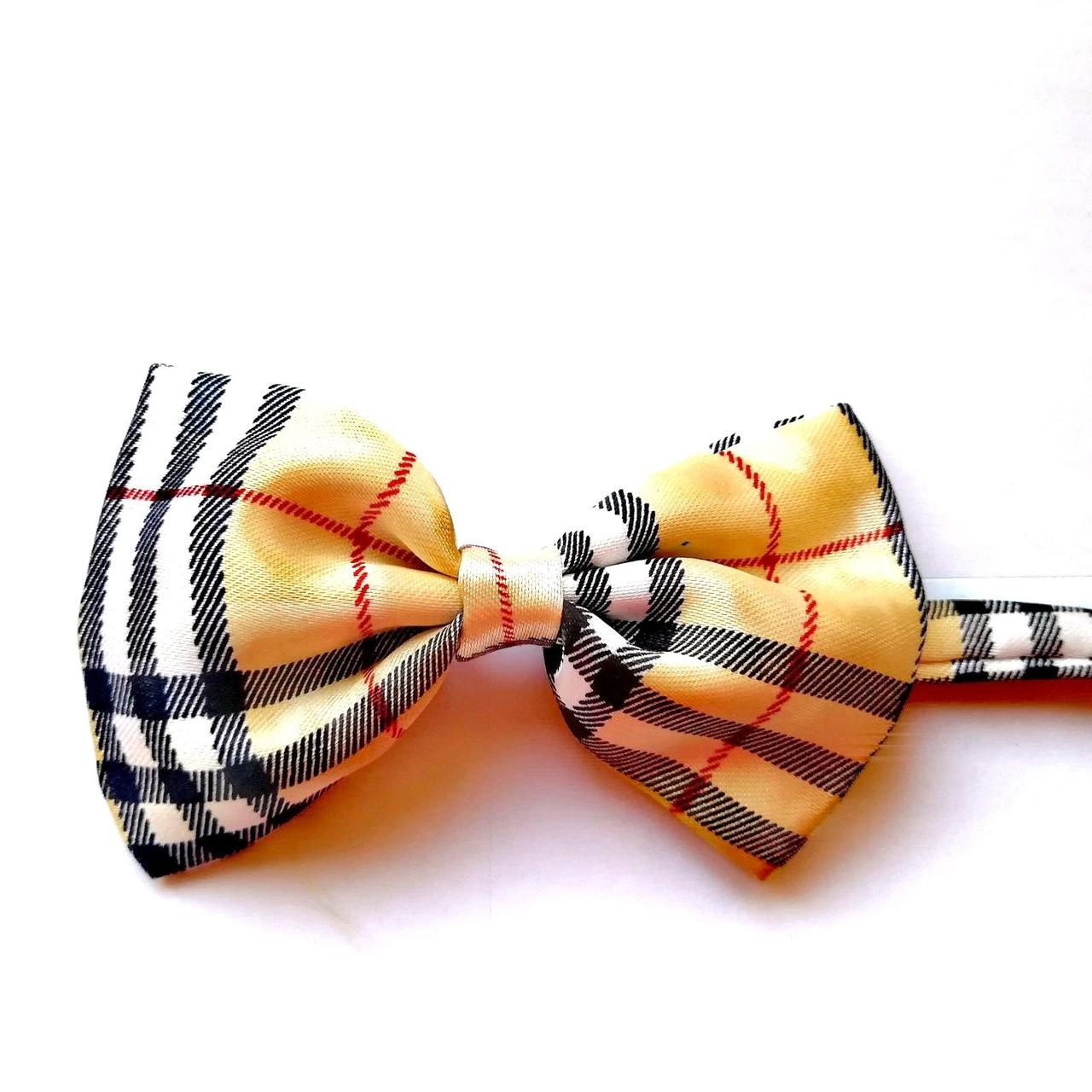 

Галстук-бабочка детская Dandy шелковая (одинарный бантик) №5