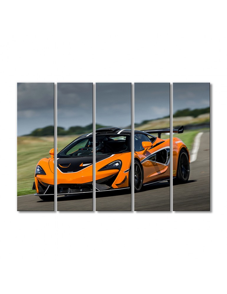 

Модульная картина Artel «Автомобиль Макларен 620R 2020 года» 5 модулей 90x135 см
