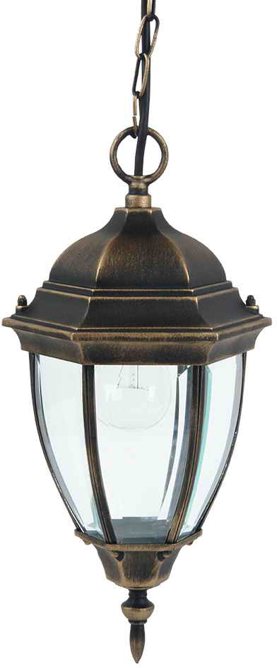 

Подвесной уличный светильник Lusterlicht 1280S Dallas II старое золото