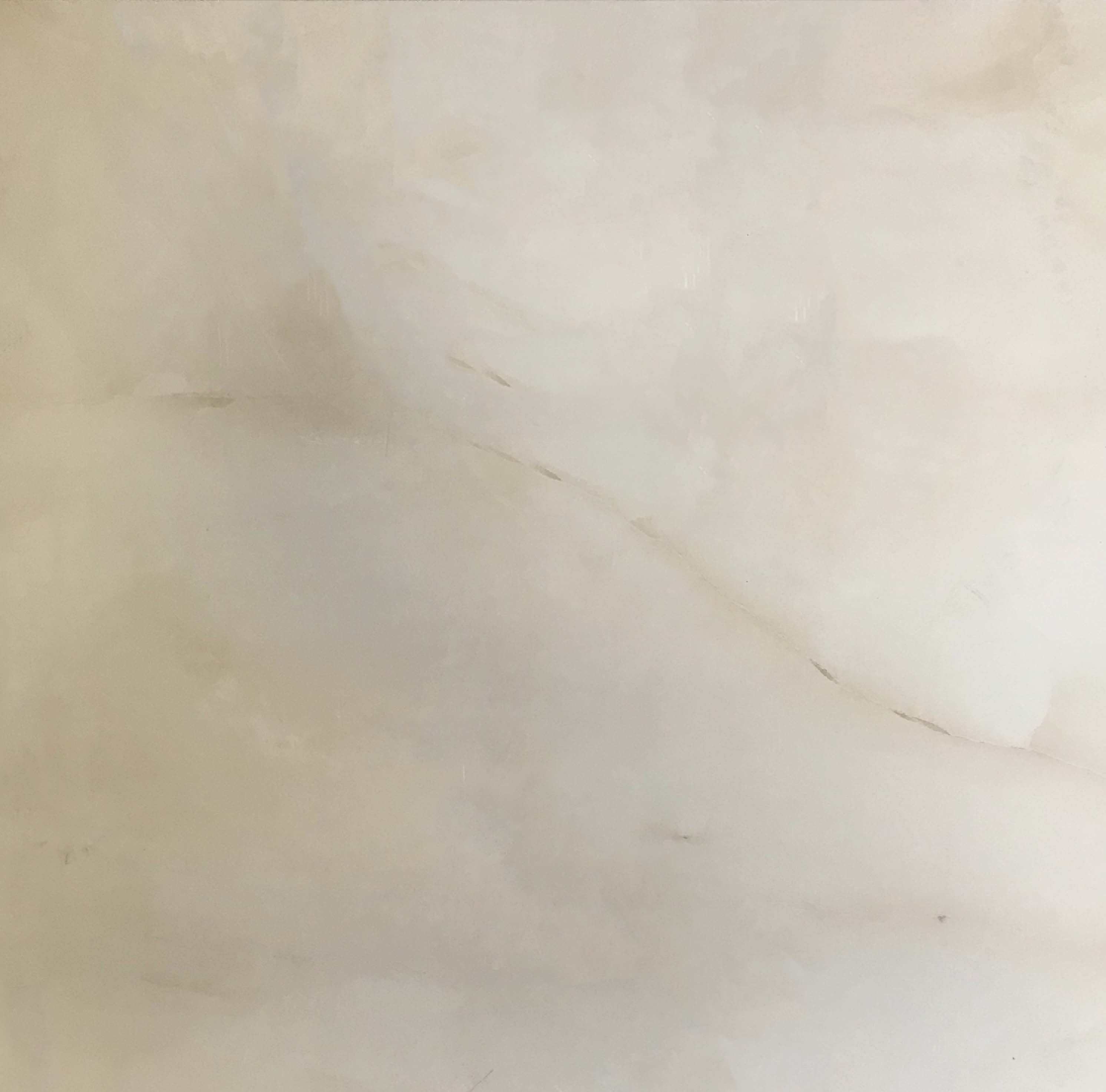 

Керамогранит Casa Ceramica 1006 60х60 см 60*60 см