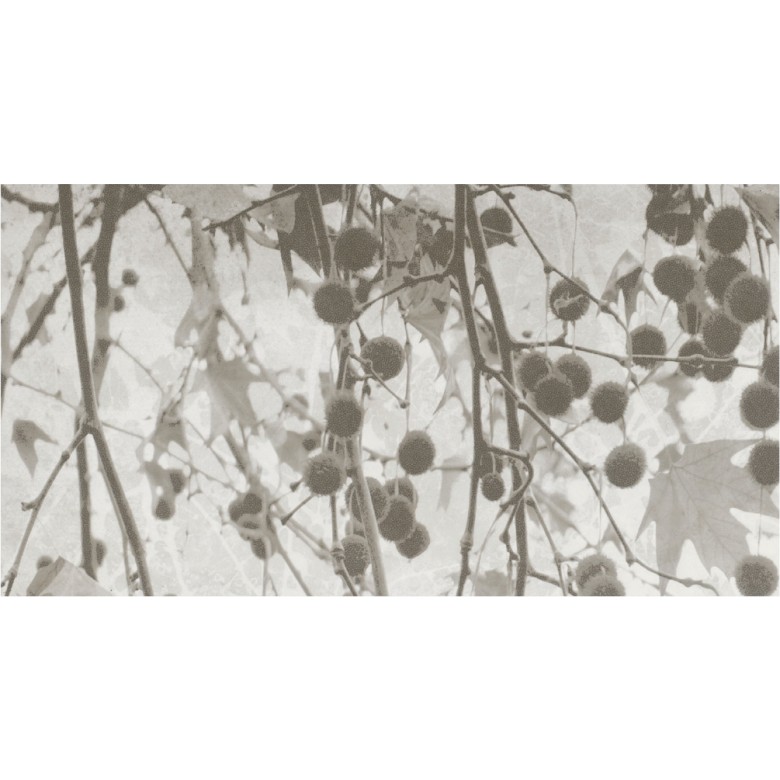 

Плитка Kale Fiore FON-5463R Bone 41х81 см 41*81 см