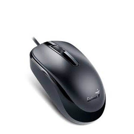 

Мышь Genius DX-120 Black USB
