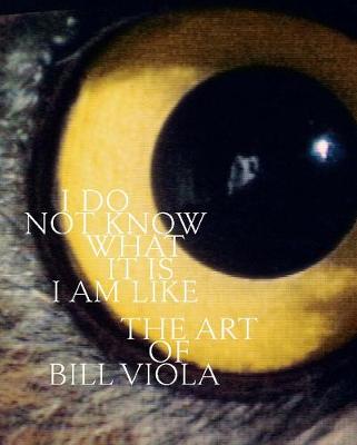 

I Do Not Know What It Is I Am Like. The Art of Bill Viola