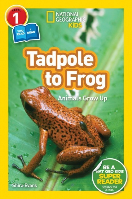 

National Geographic Readers: Tadpole to Frog. Level 1