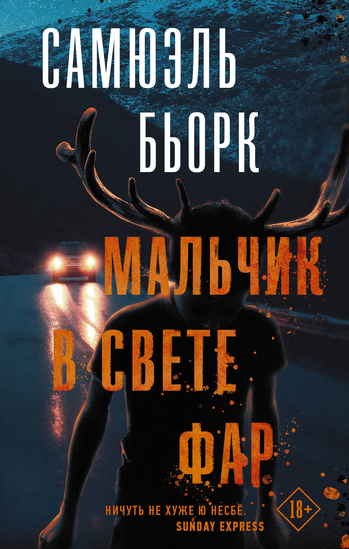 

Мальчик в свете фар