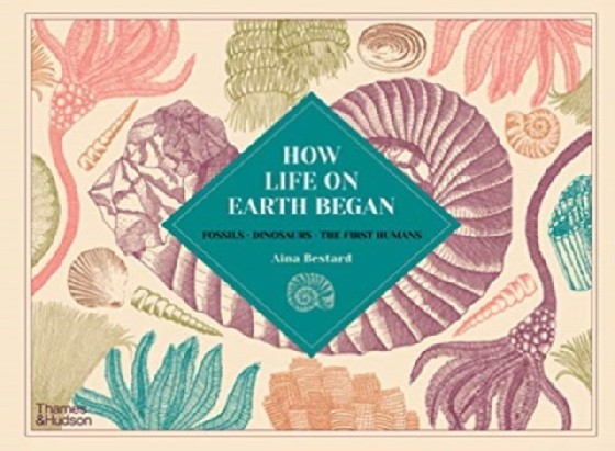 

How Life on Earth Began