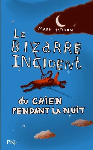 

Le bizarre incident du chien pendant la nuit