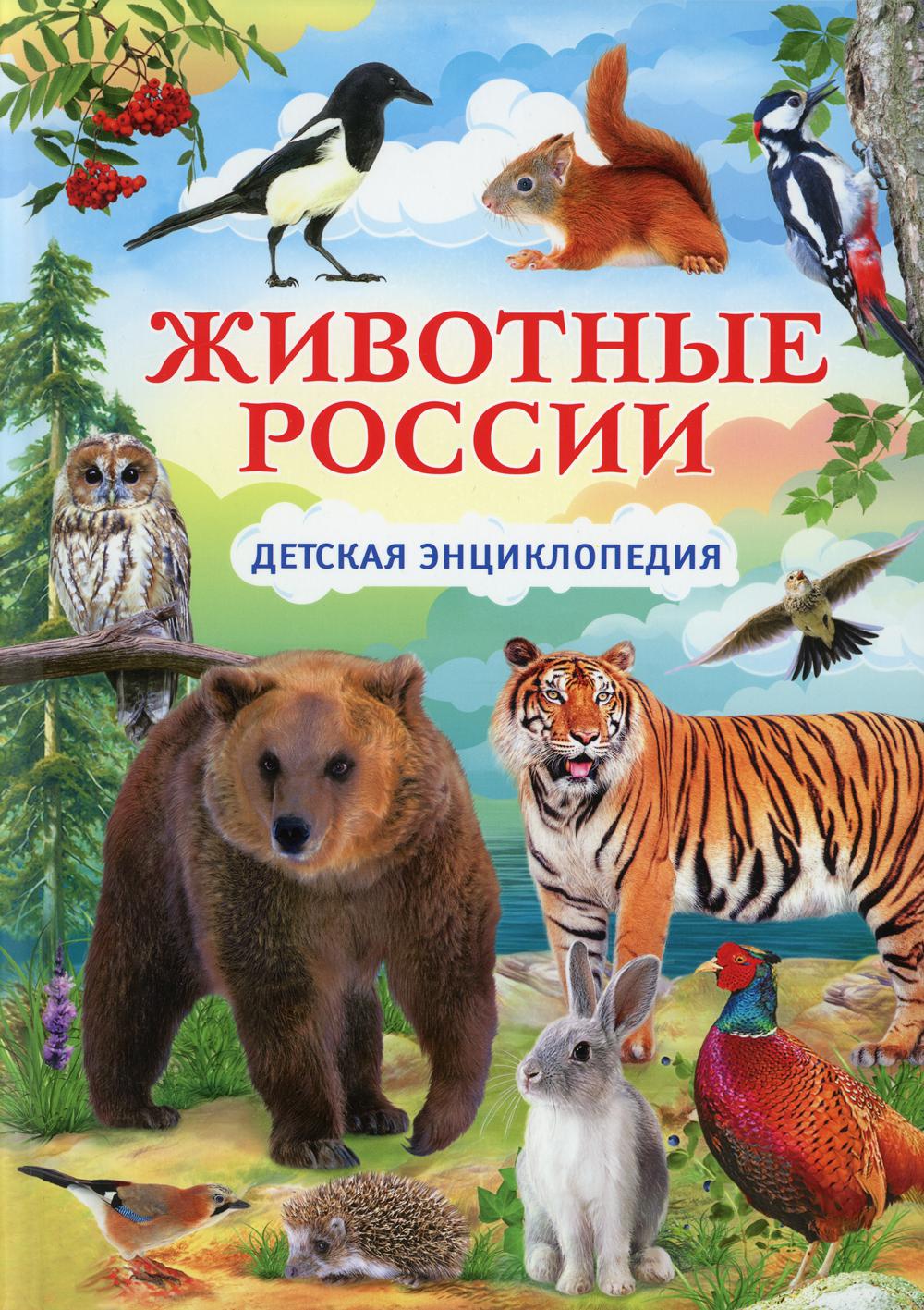 

Животные России. Детская энциклопедия (4357457)