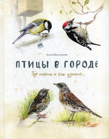 

Птицы в городе. Где найти и как узнать (4329409)