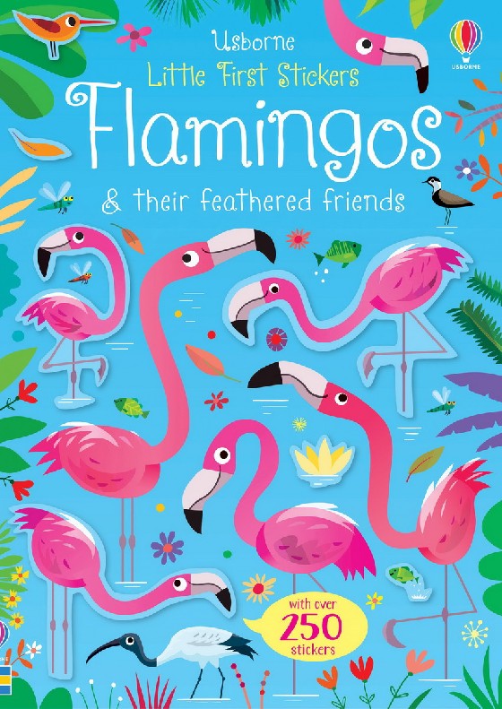 

Flamingos