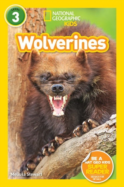 

National Geographic Readers: Wolverines. Level 3