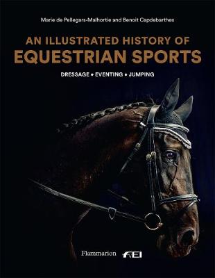 

An Illustrated History of Equestrian Sports. Dressage, Jumping, Eventing
