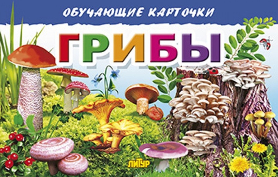 

Обучающие карточки. Грибы