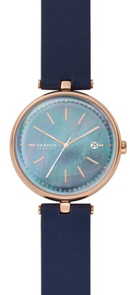 

Женские наручные часы SKAGEN SKW2981