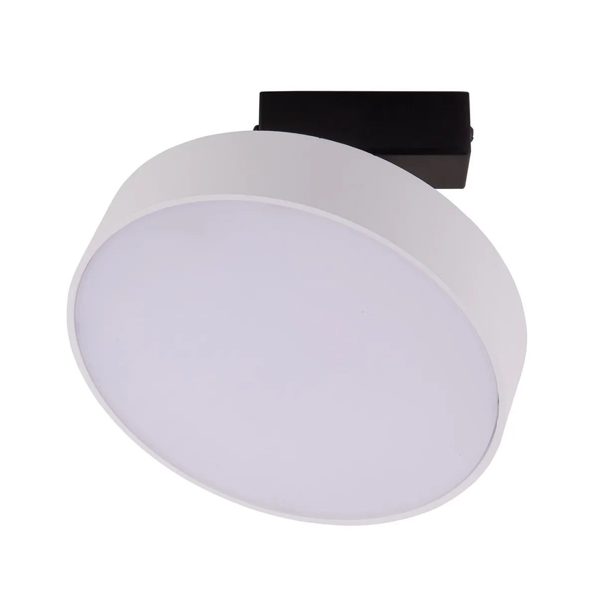 

Потолочный светильник MJ-Light 8306WC 24W 4000K