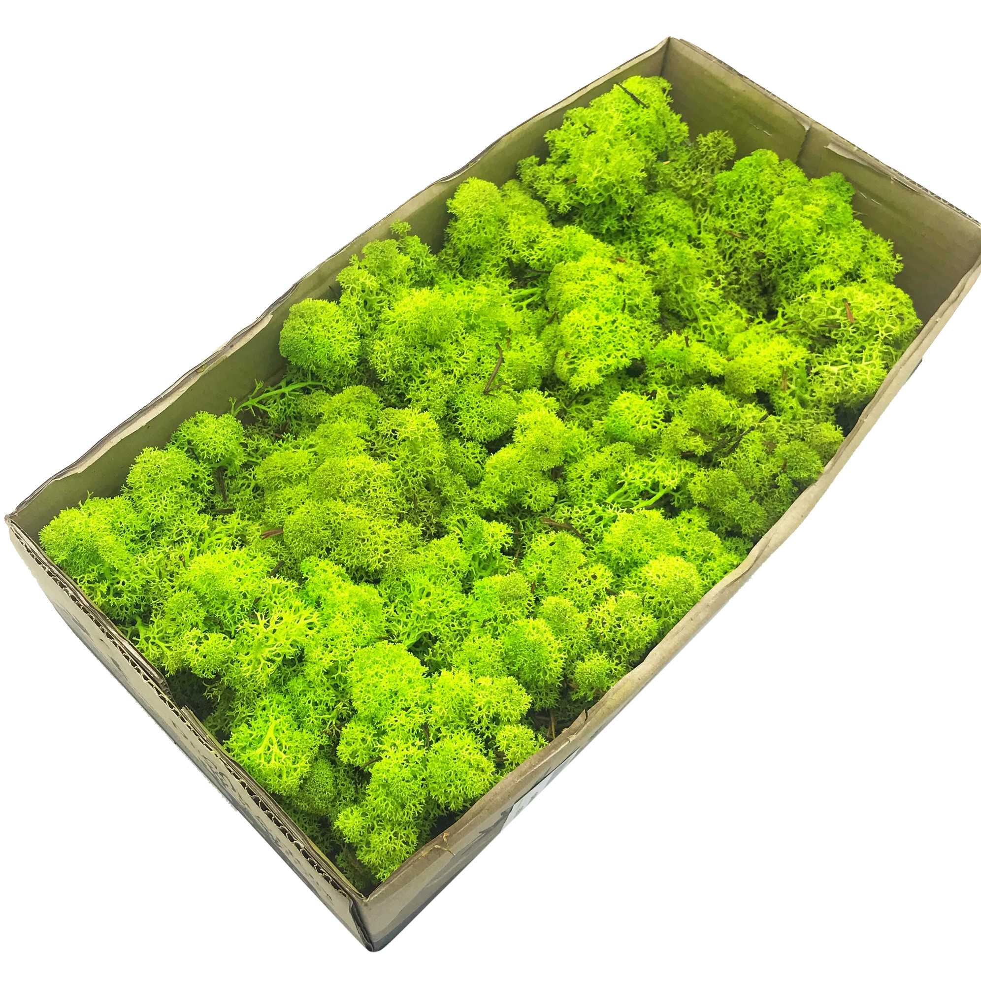 

Стабилизированный мох SO Green салатовый 0,5 кг (055)