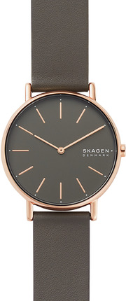 

Мужские наручные часы Skagen SKW2794