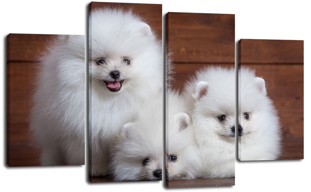 

Модульная картина на холсте из 4 частей DK Place 118х75 см (PLM4 55)