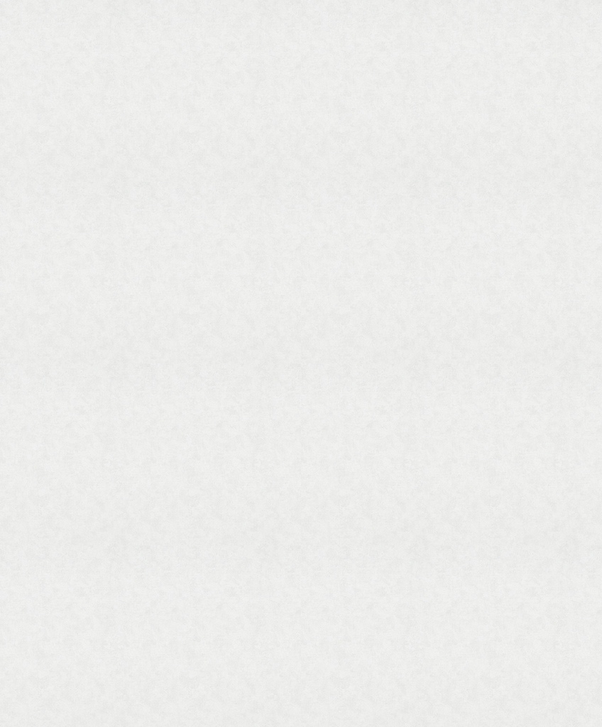 

Обои Marburg New Spirit 32436